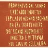 provenivo